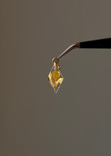 Load image into Gallery viewer, Sarso (Mustard) Blossom Mini Charm -9