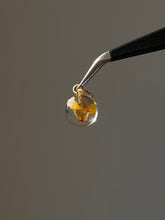 Load image into Gallery viewer, Sarso (Mustard) Blossom Mini Charm -3