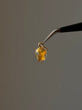 Load image into Gallery viewer, Sarso (Mustard) Blossom Mini Charm -2