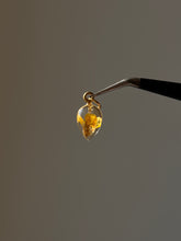 Load image into Gallery viewer, Sarso (Mustard) Blossom Mini Charm -2