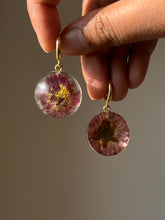Load image into Gallery viewer, Chrysanthemum Flower Earrings