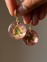 Load image into Gallery viewer, Chrysanthemum Flower Earrings