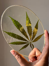 Load image into Gallery viewer, Resin coaster with a natural hemp leaf, photographed against a clean background to enhance its timeless appeal.
