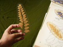 Load image into Gallery viewer, Fern Frond Friend Hand-sculpted Bookmark
