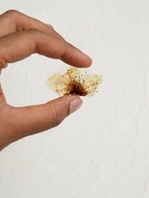 Load image into Gallery viewer, [RARE] Peach Blossom Flower Brooch Pin
