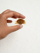 Load image into Gallery viewer, Aster Brooch Pin -1
