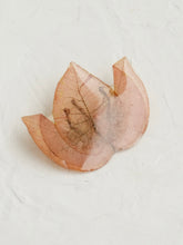 Load image into Gallery viewer, Bougainvillea Brooch Pin -13
