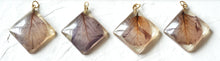 Load image into Gallery viewer, Pride of India Flower Petal Charms (Square)
