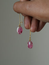 Load image into Gallery viewer, Bougainvillea Petal Kidney Hoop Earrings -6
