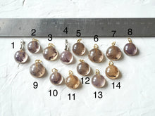 Load image into Gallery viewer, Pride of India Flower Petal Charms (Round)
