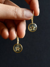 Load image into Gallery viewer, [RARE] Wild Himalayan Forget-Me-Not Flower Huggie Earrings
