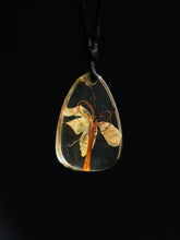 Load image into Gallery viewer, (RARE) Harlequin Glorybower Flower Pendant -1
