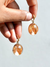 Load image into Gallery viewer, Morning Glory Flower Earrings -1
