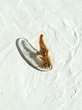 Load image into Gallery viewer, Velvet Celosia
 Flower Brooch Pin -1
