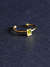 Load image into Gallery viewer, Fern Ring -3
