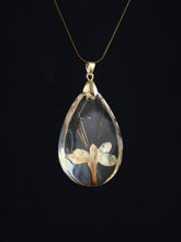 Load image into Gallery viewer, [RARE] Harlequin Glorybower Flower Pendant -10
