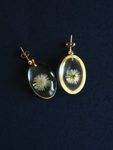 Load image into Gallery viewer, Dandelion Stud Earrings -1
