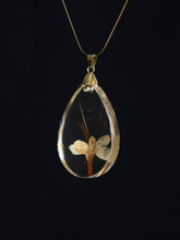 Load image into Gallery viewer, [RARE] Harlequin Glorybower Flower Pendant -10
