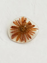 Load image into Gallery viewer, Aster Brooch Pin -2
