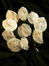 Load image into Gallery viewer, Bougainvillea Brooch Pin -9
