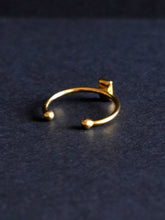 Load image into Gallery viewer, Fern Ring -4
