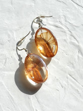 Load image into Gallery viewer, Morning Glory Flower Earrings -5
