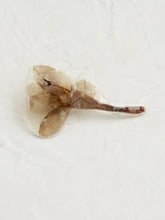 Load image into Gallery viewer, [RARE] Wild BlueBell Flower Brooch Pin
