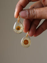 Load image into Gallery viewer, Himalayan Daisy Flower Hoop Earrings
