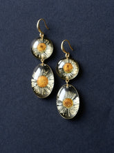 Load image into Gallery viewer, Double Himalayan Daisy Long Hook Earrings
