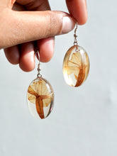 Load image into Gallery viewer, Morning Glory Flower Earrings -5
