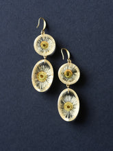 Load image into Gallery viewer, Double Himalayan Daisy Long Hook Earrings
