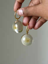 Load image into Gallery viewer, Dandelion Hoop Earrings -1
