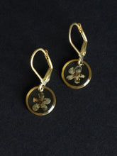 Load image into Gallery viewer, [RARE] Wild Himalayan Forget-Me-Not Flower Huggie Earrings
