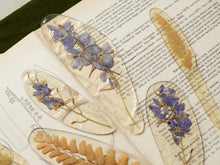 Load image into Gallery viewer, Larkspur Stem Hand-sculpted Bookmark

