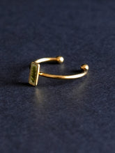 Load image into Gallery viewer, Fern Ring -2
