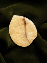 Load image into Gallery viewer, Bougainvillea Brooch Pin -1
