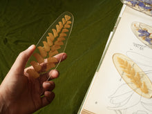 Load image into Gallery viewer, Fern Frond Friend Hand-sculpted Bookmark
