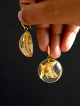 Load image into Gallery viewer, Nightshade Hoop Earrings
