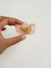 Load image into Gallery viewer, Bougainvillea Brooch Pin -12

