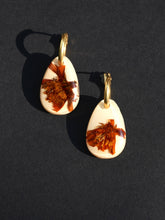 Load image into Gallery viewer, Orange Cosmos Flower Hoop Earrings
