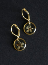 Load image into Gallery viewer, [RARE] Wild Himalayan Forget-Me-Not Flower Huggie Earrings
