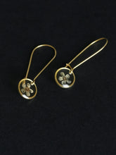 Load image into Gallery viewer, [RARE] Wild Himalayan Forget-Me-Not Flower Kidney Hook Earrings
