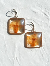 Load image into Gallery viewer, Morning Glory Flower Earrings -4
