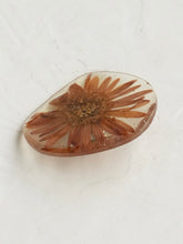 Load image into Gallery viewer, Aster Brooch Pin -2
