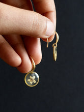 Load image into Gallery viewer, [RARE] Wild Himalayan Forget-Me-Not Flower Earrings -3
