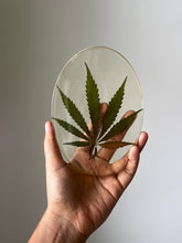 Load image into Gallery viewer, [RARE] Hemp Coaster Oval
