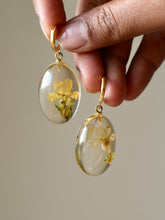 Load image into Gallery viewer, Buttercup Primrose Flower Huggie Hoop Earrings
