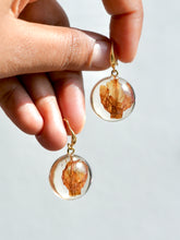 Load image into Gallery viewer, Morning Glory Flower Earrings -1
