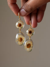 Load image into Gallery viewer, Himalayan Daisy Flower Double Gem Hook Earrings
