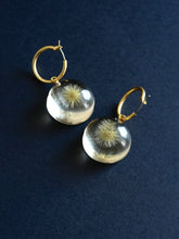 Load image into Gallery viewer, Dandelion Hoop Earrings -1
